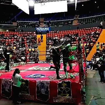 Luchas AAA