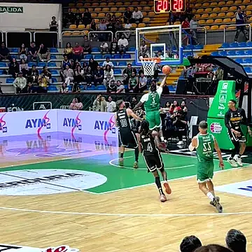 Abejas vs Panteras Partido #1