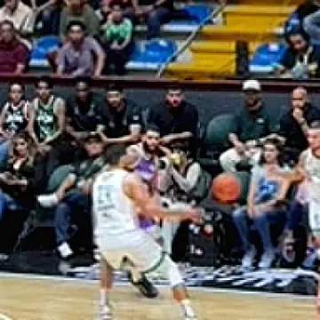 Abejas vs Dorados