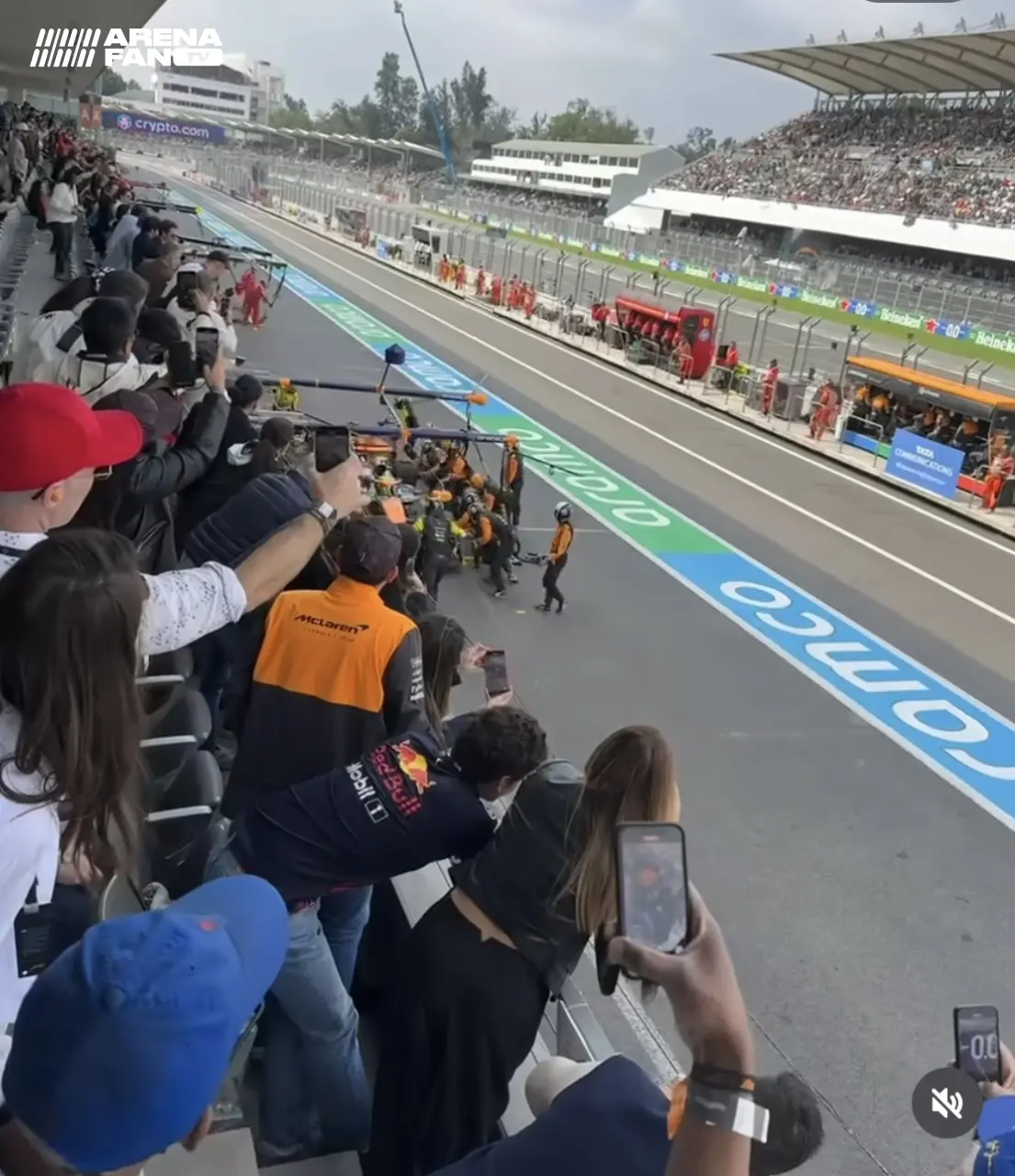 Celulares en F1
