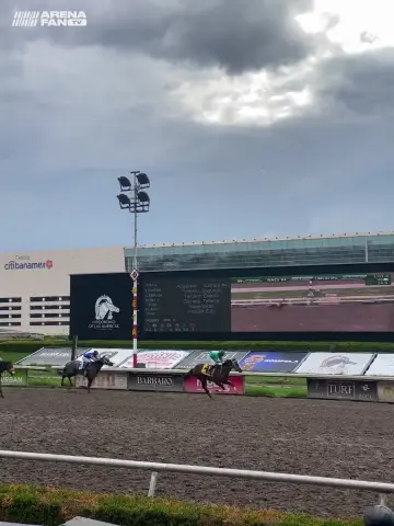 Carreras de caballo! Gran deporte