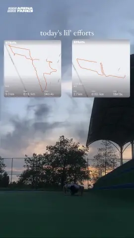 PREPARACIÓN 21 KM
8.1 km - 6.29 / km - 52 min
(& 100 push-ups)