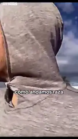 Saludos raza!! Les comparto un poco de mi entrenamiento #22 
VAMOS POR ESE PRIMER 1/2 MARATÓN 🍾👏🏼