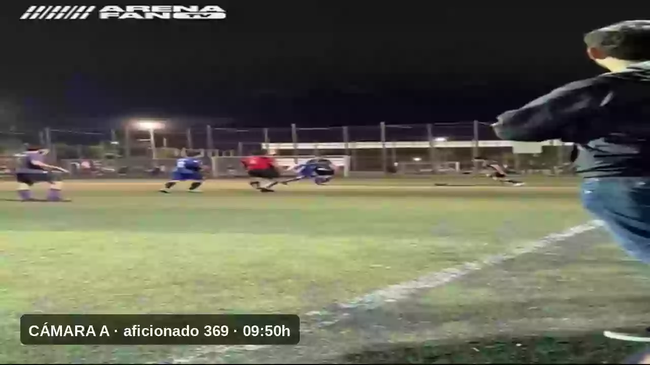 ArenaFan · Programa 1 — Bichitos Balónpie