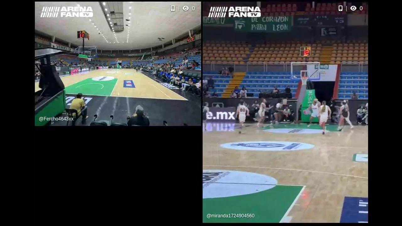 ArenaFan · Programa 6 — Abejas de León vs Freseras (multicuadro en vivo)